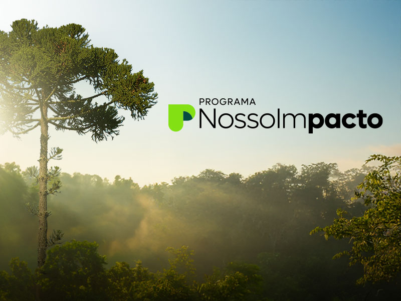 Canteiro - sustentabilidade